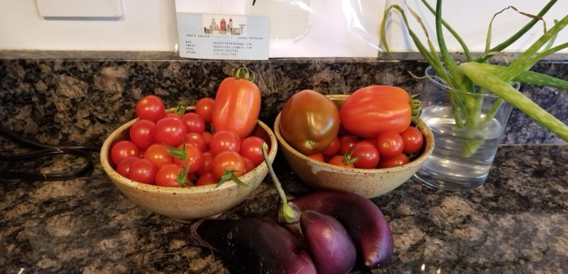 Cherry tomatoes and eggplants