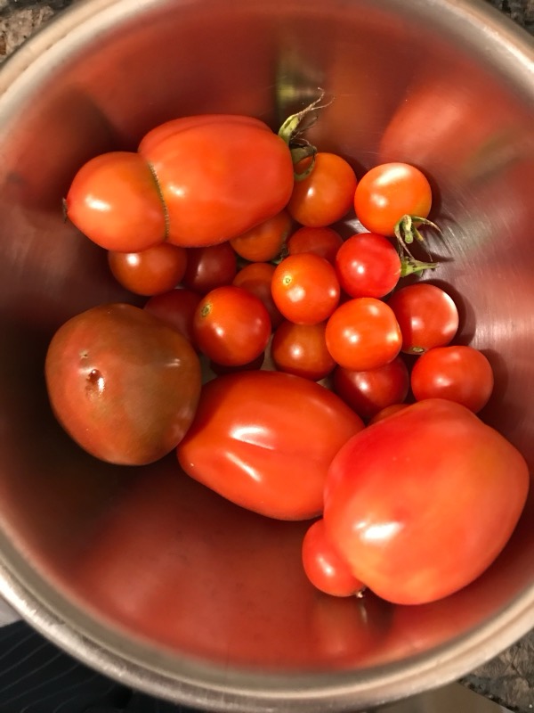 A bowl of ripe tomatoes